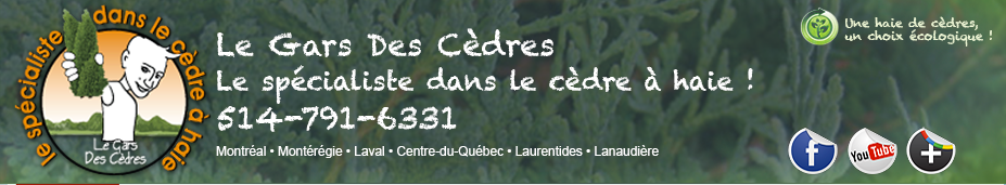 Le Gars des C&egrave;dres