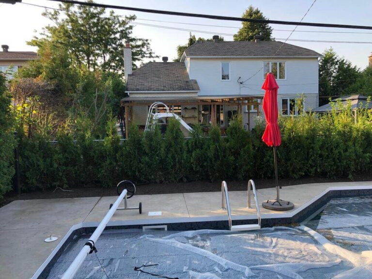 cedre haie cultive 15