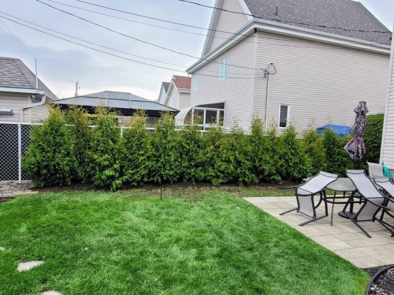 cedre superieur blanc 4