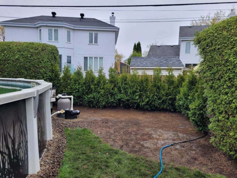 Haie de cèdres TITAN très dense offrant une intimité élevée